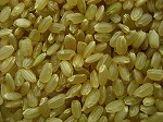 熊本県産森のくまさん玄米