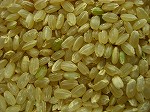 和歌山県地場産玄米