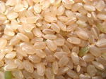 鹿児島県産こしひかり玄米の拡大写真